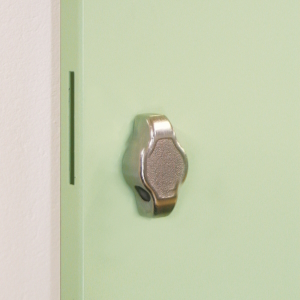 padlock eye